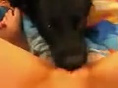 In the bedroom, sweetie's devoted dog licks her luscious pink pussy.